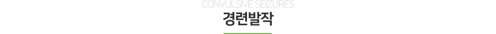 뇌전증