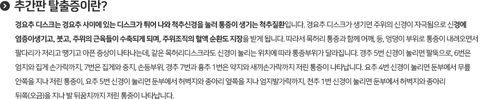 추간판장애