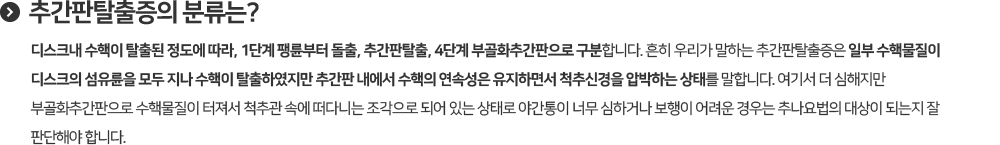 추간판장애