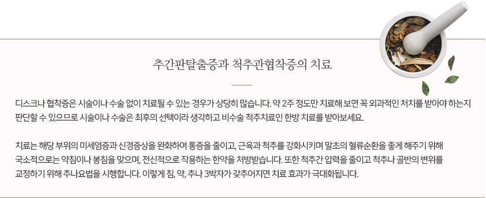 추간판장애